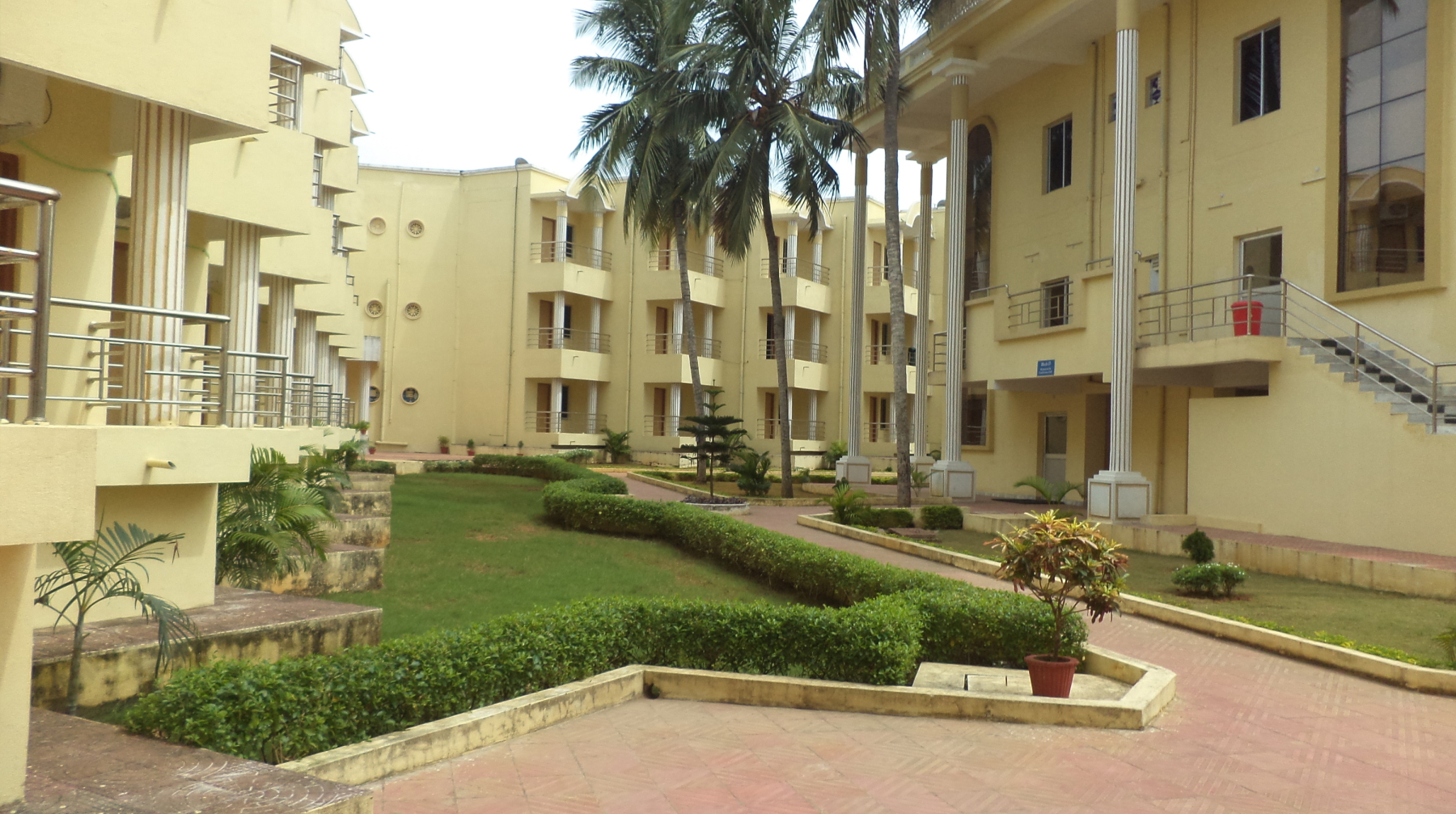 Main Image