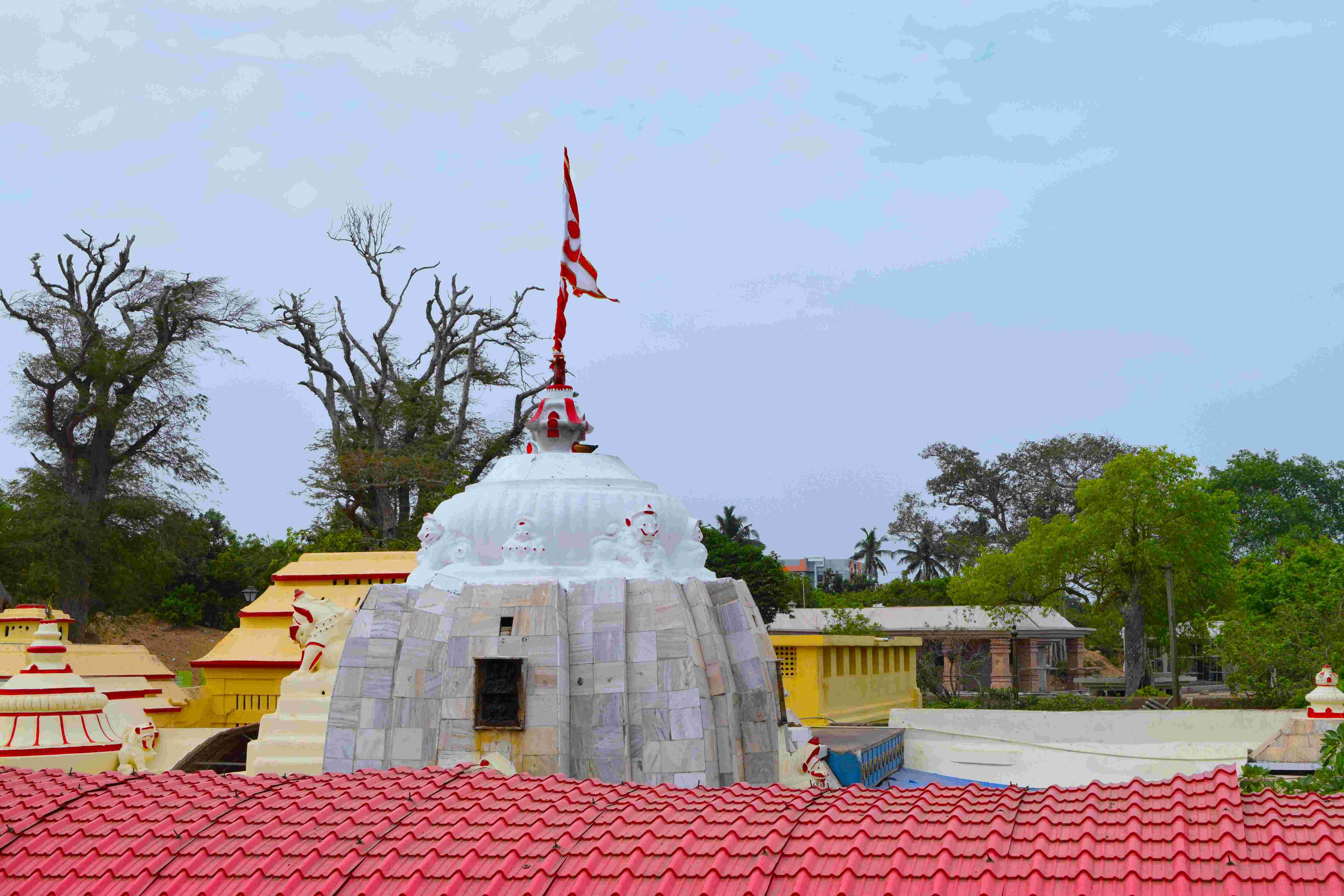 Temple Photo